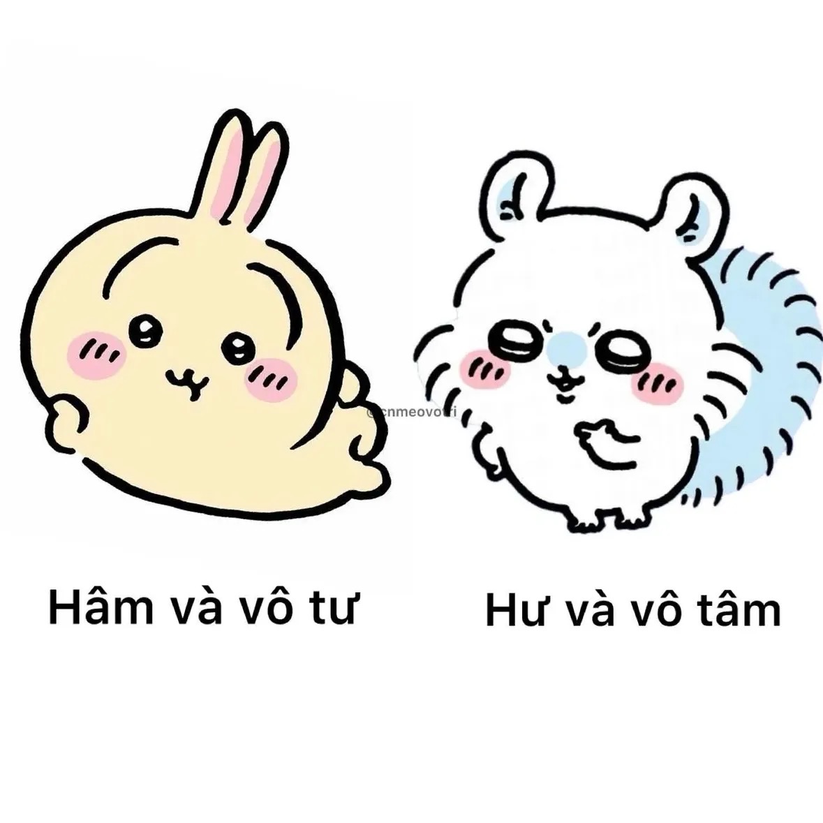 124 abc, Đặc khu Phú Quốc, An Giang